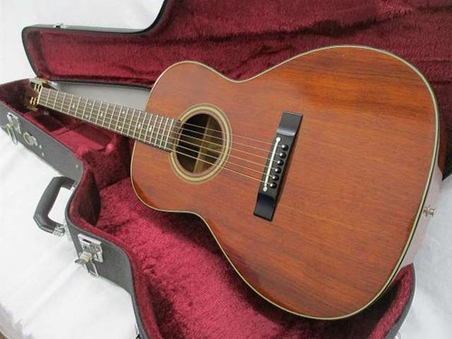 Takamine ptn 006 chitarra - takamine,