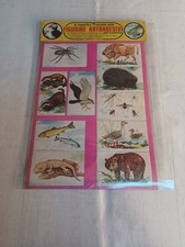 FIGURINE AUTOADESIVE PER ALBUM