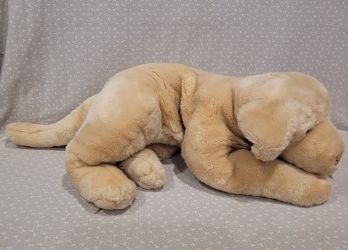 Peluche cane labrador - peluche,