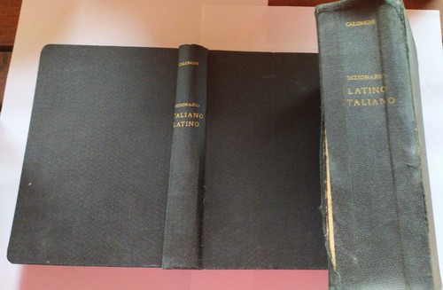 Dizionario della lingua