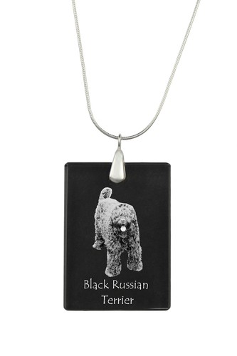 Terrier nero russo - terrier,