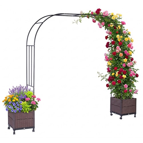Arco rose per rampicanti - per,