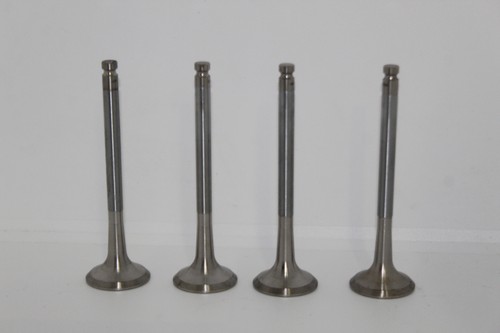 Kit valvole scarico per fiat - scarico,