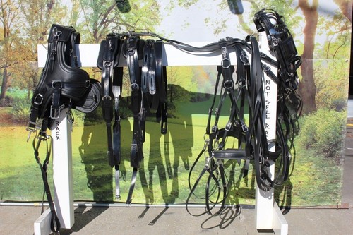 Set squadra imbracatura - set,