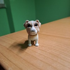 Cuccioli Cerca Amici jack