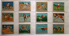 SPORT figurine cartonate