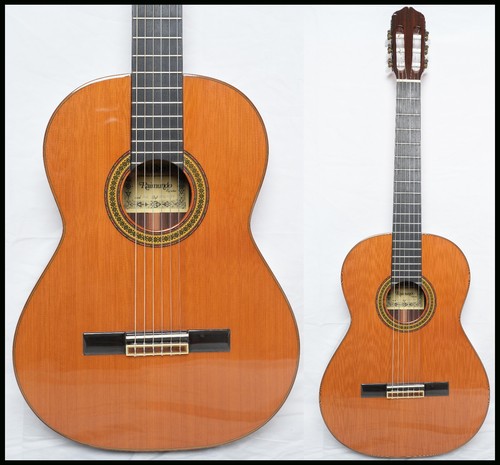 Chitarra classica raimundo - chitarra,