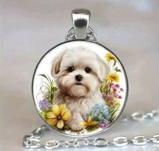 Collana cane maltese cucciolo