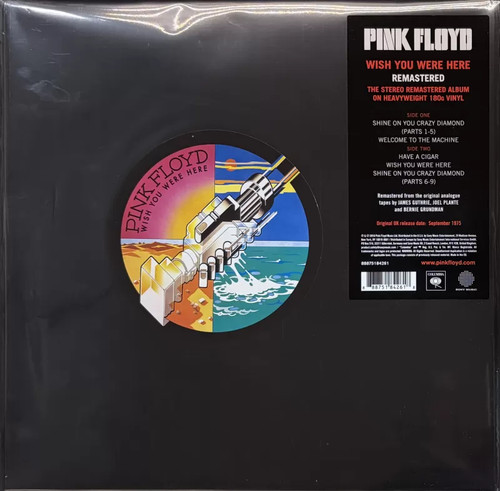 Pink floyd wish you - wish,