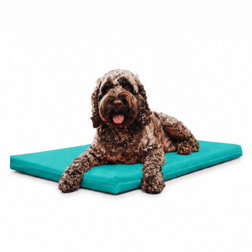 Maximum pet products cuccia - 2",