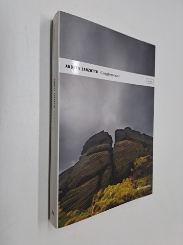 Conglomerati andrea zanzotto - -,