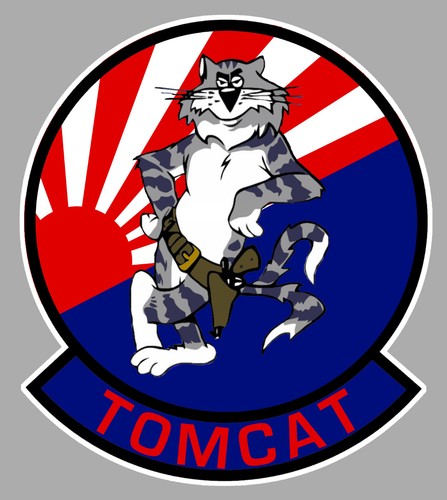 Grumman tomcat f14 - tomcat,