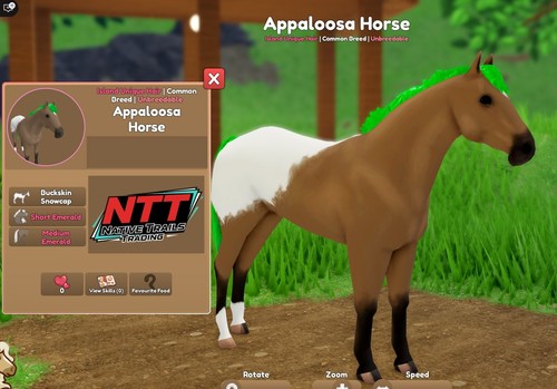 Wild horse islands - wild,
