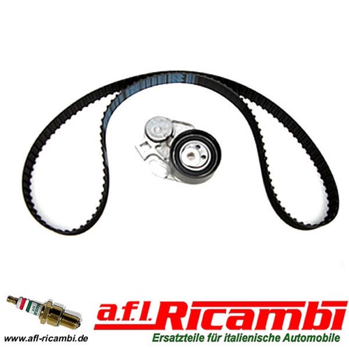 Kit cinghia distribuzione - cinghia,