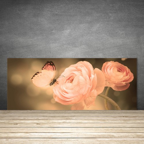 Splashback paraschizzi - splashback,