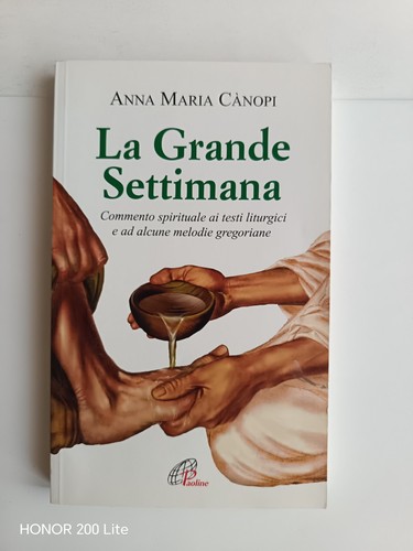 Cànopi canopi la - canopi,