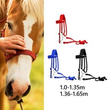 Briglia per cavallo con