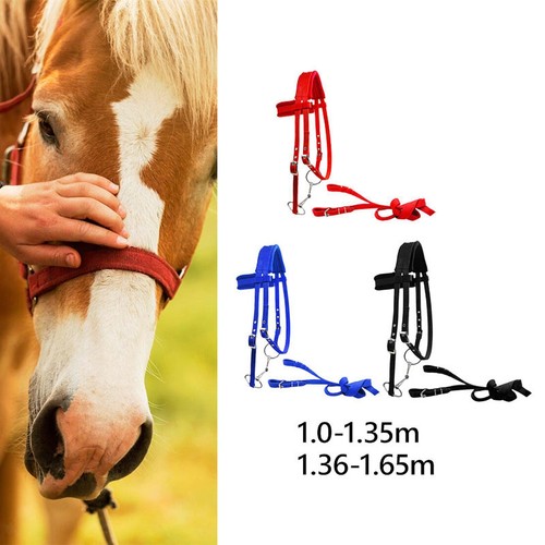Briglia per cavallo con