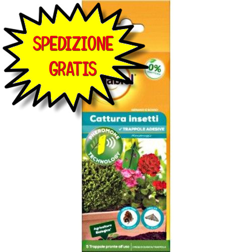Solabiol cattura insetti - cattura,