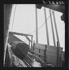 Pelican Lumber Company Mill
