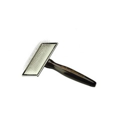 Iv san bernard cardatore mini