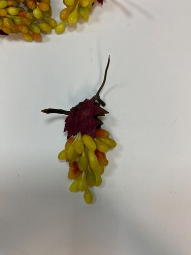 Uva cera per figure 30 - in,