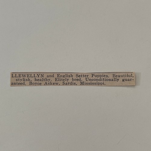 Pubblicità llewellyn - pubblicità, &