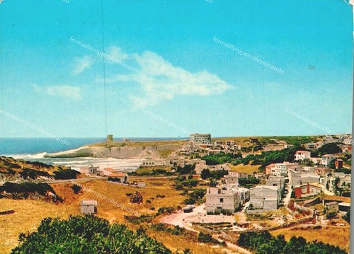 Ed493 cartolina - ed493,