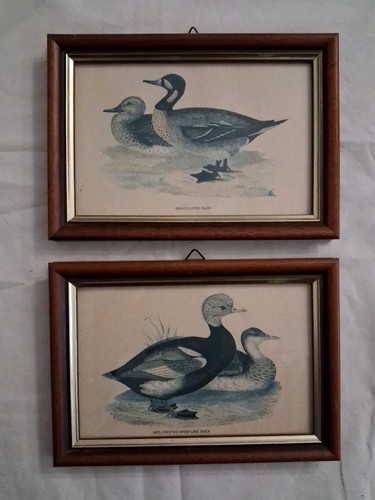 Lotto quadretti vintage - 2,