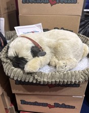 Precious petzzz carlino - precious,