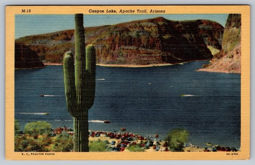 Cartolina desert cactus canyon - cactus,