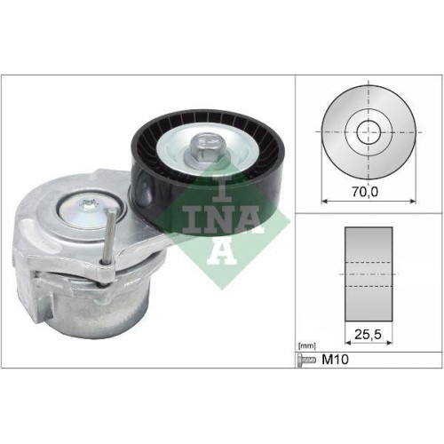 Tendicinghia cinghia poly - tendicinghia,
