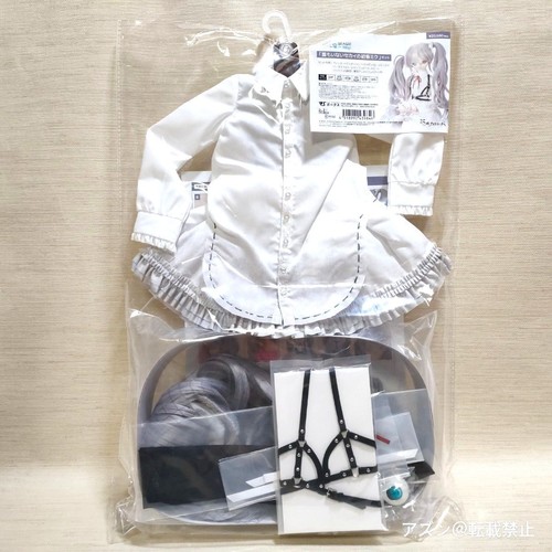 Volks hatsune miku nobody - volks,