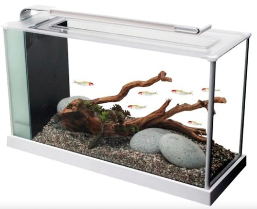 Fluval spec 19l led bianco - spec,