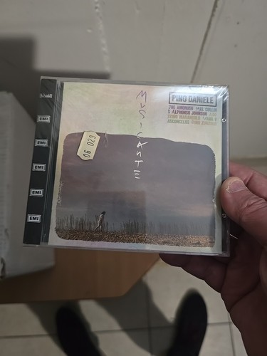 Musicante pino daniele - pino,