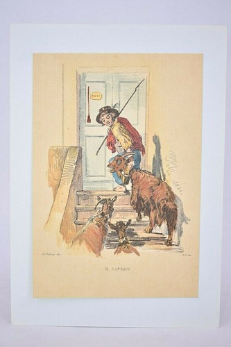 Capraio stampa primi 900 - il,