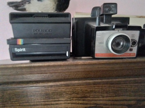 Macchine fotografiche kodak - macchine,
