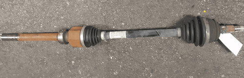 Semialbero ant compl - compl., dx