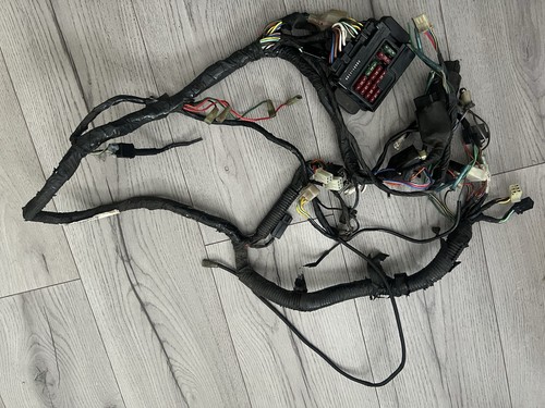 Cablaggio eliminatore kawasaki - cablaggio,