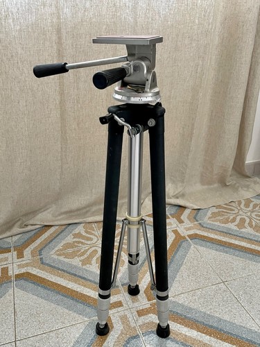 Rare 1960s fatif - 1960s,
