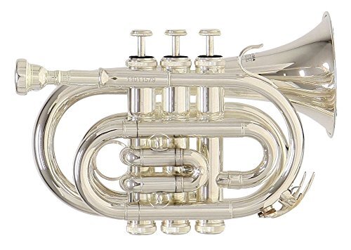 Roy benson tromba sib - roy,