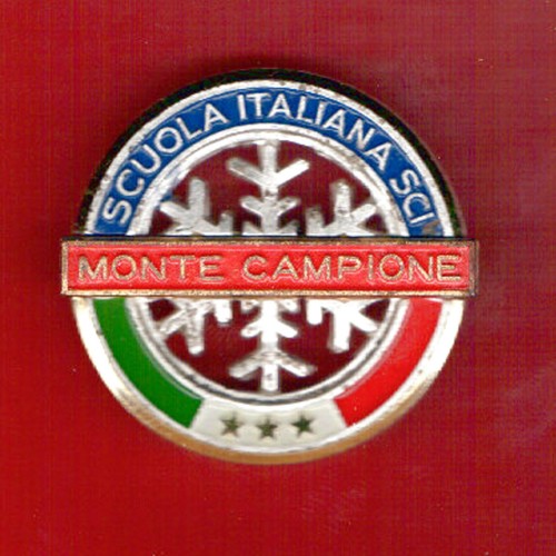 Spilla distintivo pin