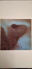 PINK FLOYD MEDDLE VINILE 1971 LP 33 GIRI HARVEST EMI ITALIANA 