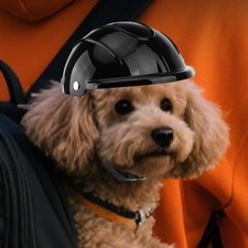Casco da Scooter per Cani