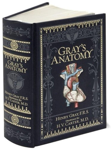 Gray anatomy henry - gray's,