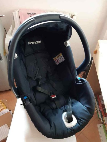 Ovetto prenatal riduttore - +,