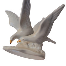 Uccelli colombe in volo