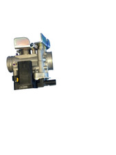 CORPO FARFALLATO GRUPPO