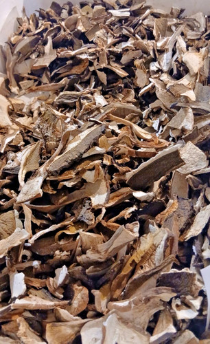 Funghi porcini secchi - funghi,
