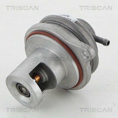 Valvola egr triscan per - triscan,
